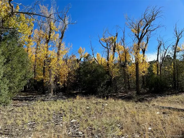 124 Indian Hill, Mosca, CO 81146