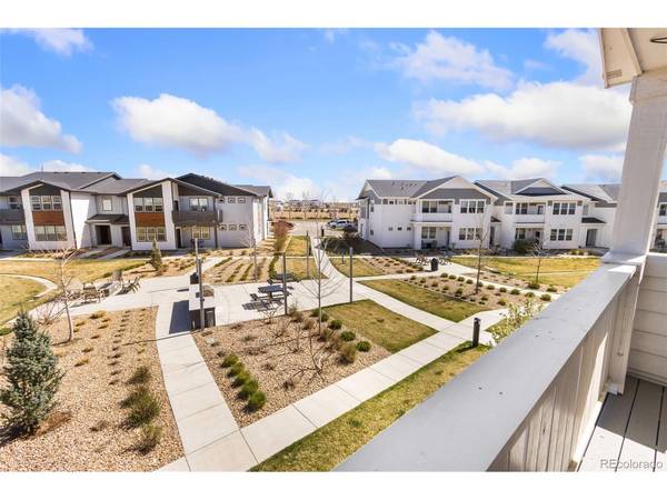 1805 Bounty #3, Windsor, CO 80550