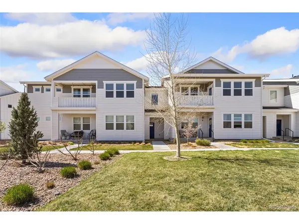 1805 Bounty #3, Windsor, CO 80550