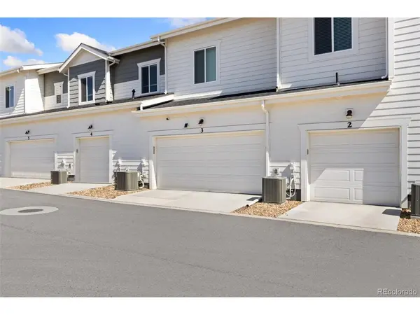 1805 Bounty #3, Windsor, CO 80550