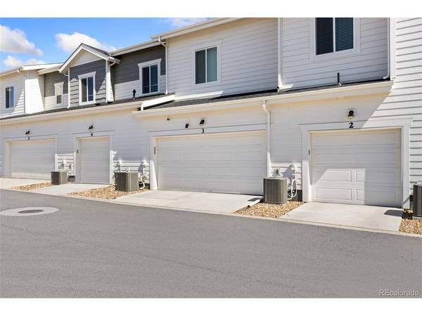 1805 Bounty #3, Windsor, CO 80550