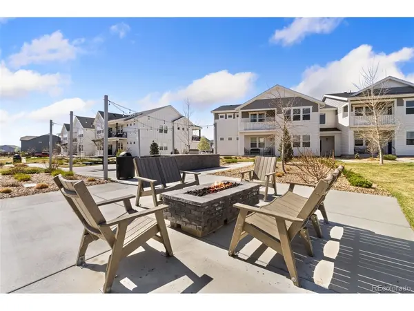 1805 Bounty #3, Windsor, CO 80550