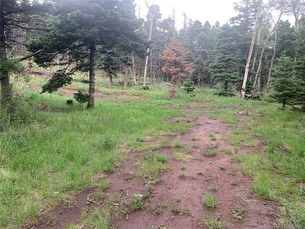 2956 Kemper, Fort Garland, CO 81133