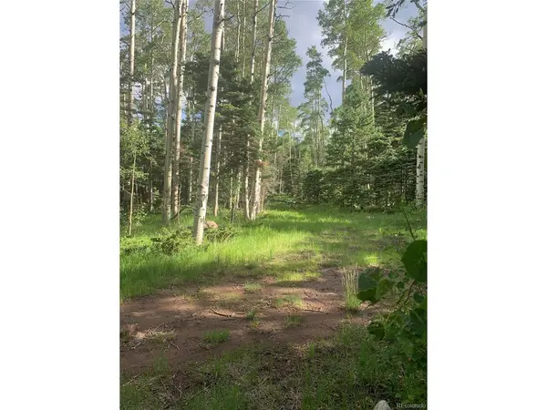 2956 Kemper, Fort Garland, CO 81133