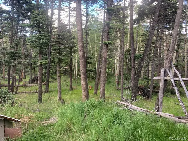 2956 Kemper, Fort Garland, CO 81133