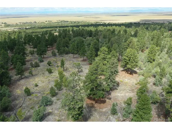 Pawnee, Mosca, CO 81146
