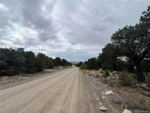 1917 Lone Pine, Crestone, CO 81131