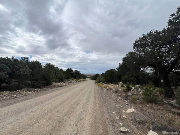 1917 Lone Pine, Crestone, CO 81131