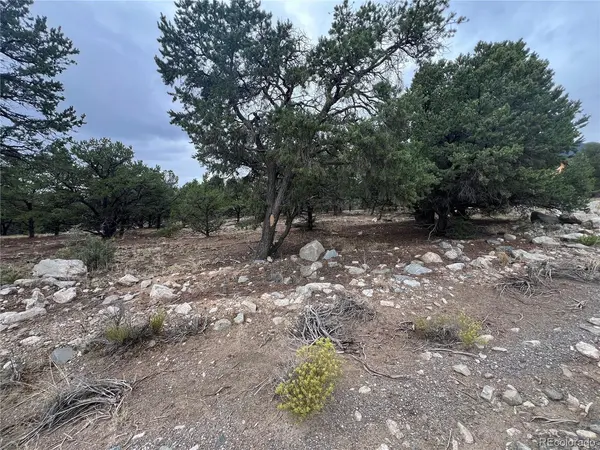 1917 Lone Pine, Crestone, CO 81131