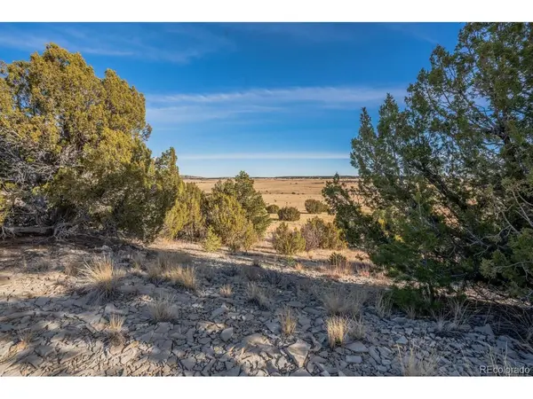 24 Hatchet Ranch, Colorado City, CO 81019