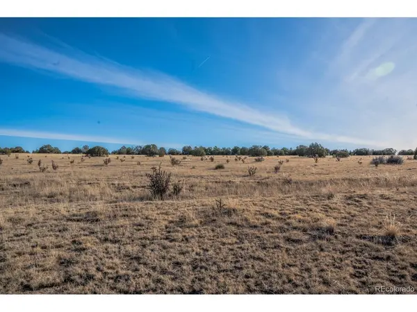 24 Hatchet Ranch, Colorado City, CO 81019