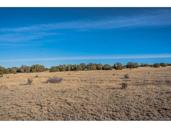 24 Hatchet Ranch, Colorado City, CO 81019