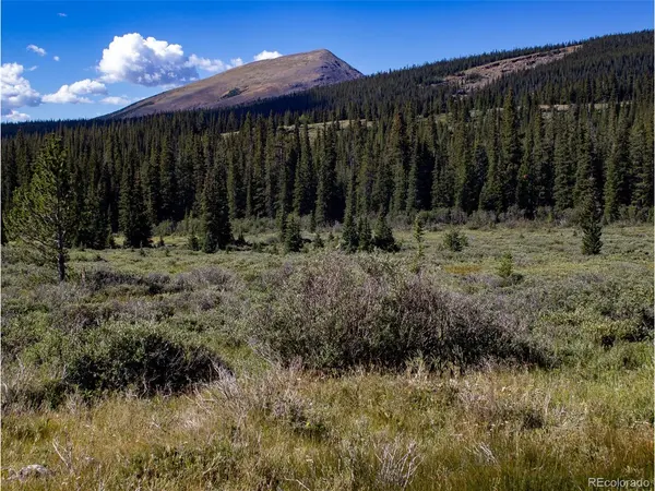 5004 Timberline, Fairplay, CO 80440
