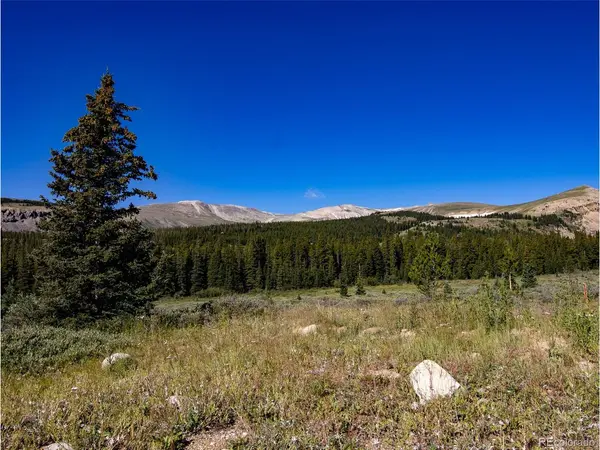 5004 Timberline, Fairplay, CO 80440