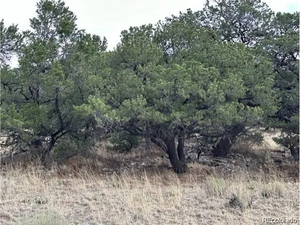 Address not disclosed, Mosca, CO 81146