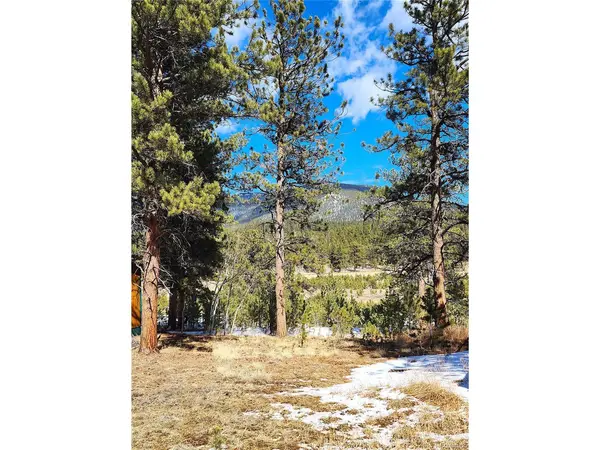 116 Neal, Bailey, CO 80421