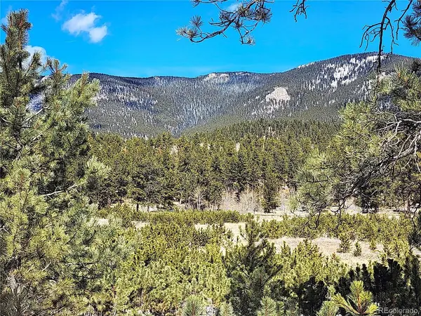 116 Neal, Bailey, CO 80421