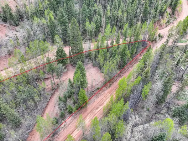 416 Willow, Divide, CO 80814