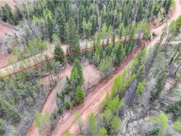 416 Willow, Divide, CO 80814