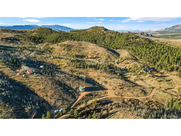 3631 Cr 33 #33, Florissant, CO 80816