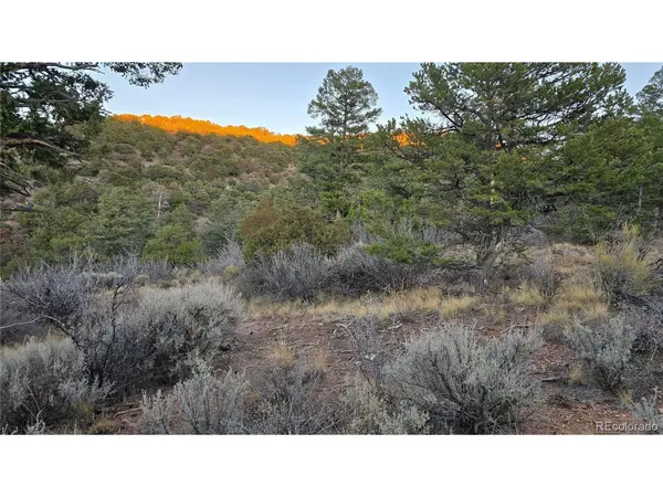 5106 Redler, Fort Garland, CO 81133