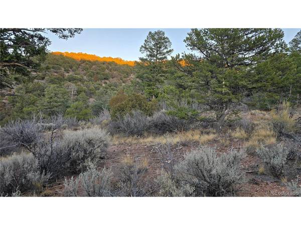 5106 Redler, Fort Garland, CO 81133