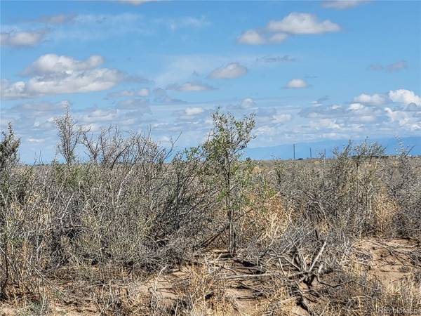 0 Meadowlark, Alamosa, CO 81101