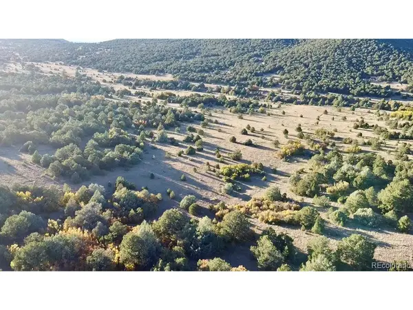 Address not disclosed, Cotopaxi, CO 81223