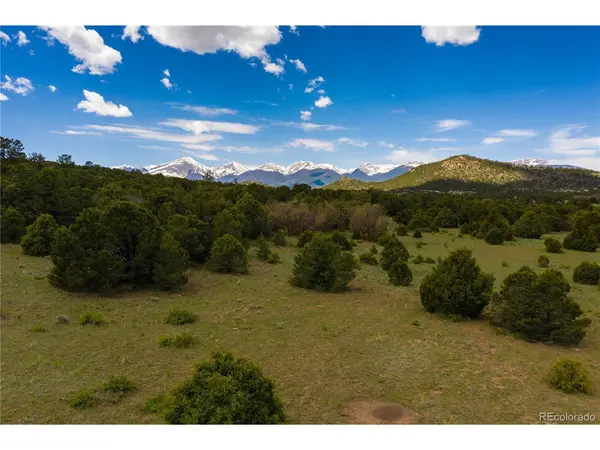 Address not disclosed, Cotopaxi, CO 81223