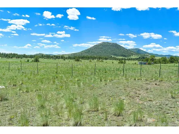 56 View, Guffey, CO 80820
