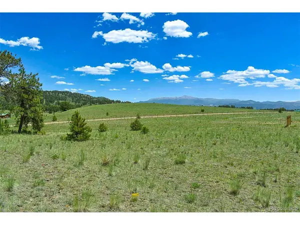 56 View, Guffey, CO 80820