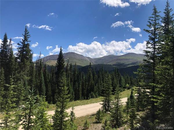 339 CR 805, Breckenridge, CO 80424