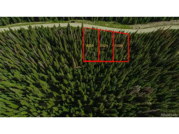 339 CR 805, Breckenridge, CO 80424