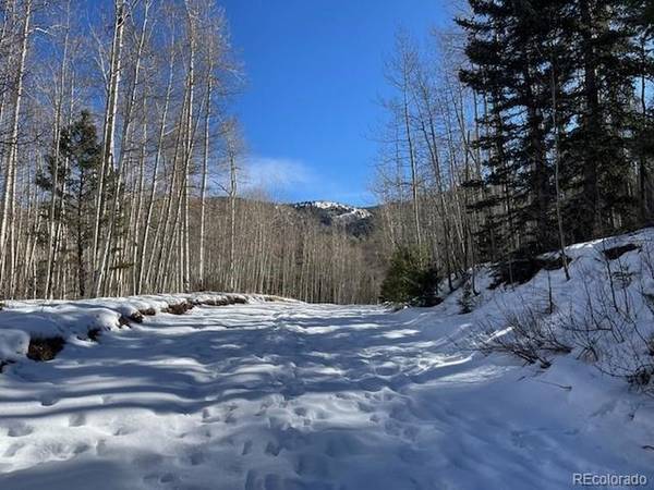 5252 Scott, Fort Garland, CO 81133