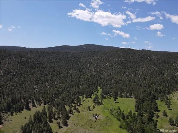 591599 Soul Shine, Drake, CO 80515