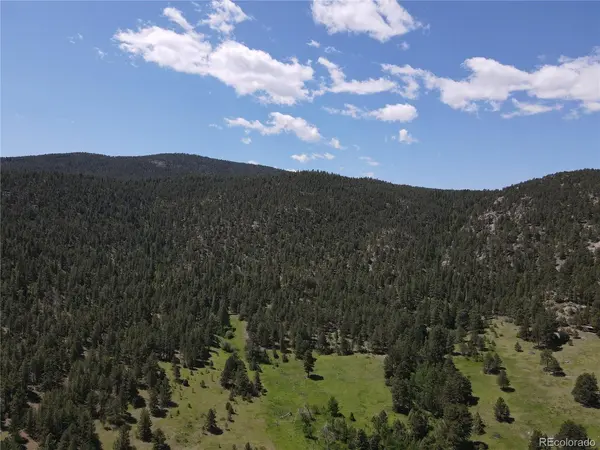 591599 Soul Shine, Drake, CO 80515