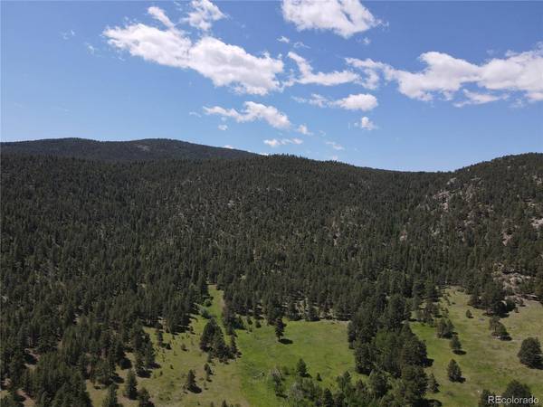 591599 Soul Shine, Drake, CO 80515