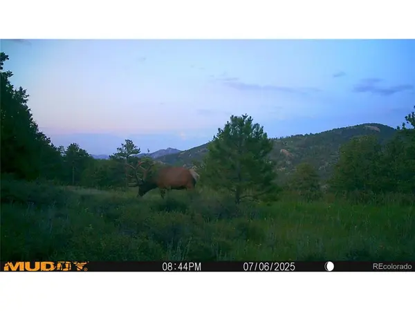 591599 Soul Shine, Drake, CO 80515