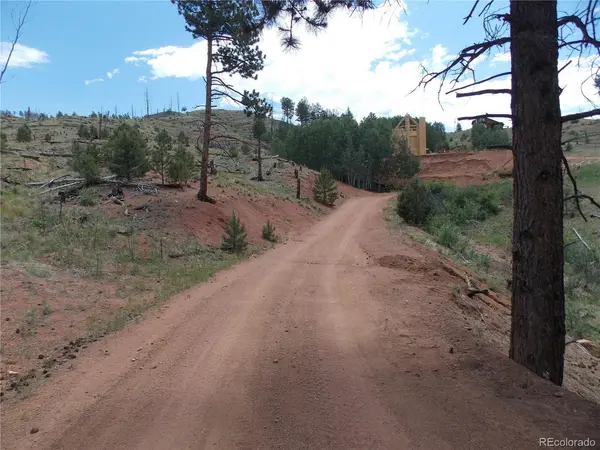14691 Crooked Trail, Woodland Park, CO 80863