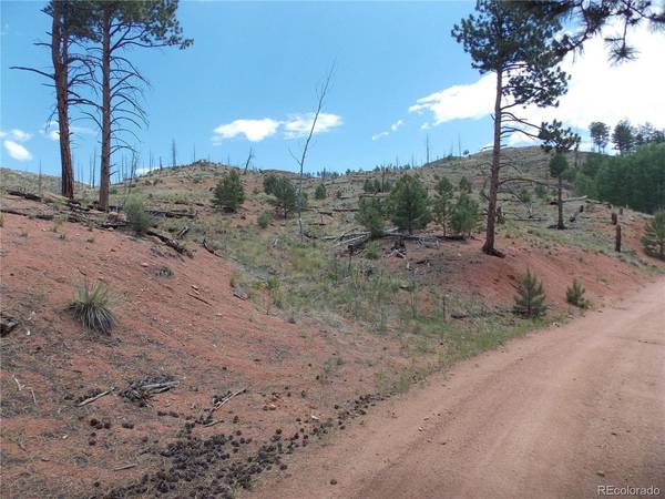 14691 Crooked Trail, Woodland Park, CO 80863