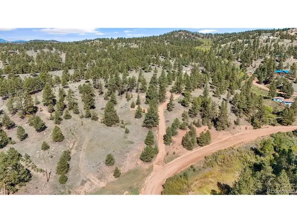 163 Valley View, Florissant, CO 80816