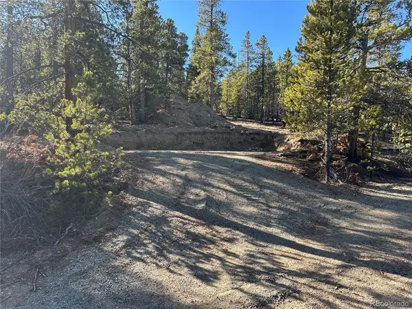 48 Lodgepole, Leadville, CO 80461