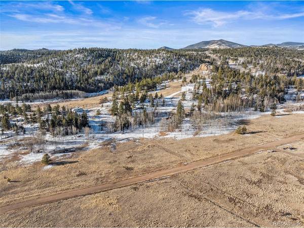546 Alpine Meadows, Florissant, CO 80816