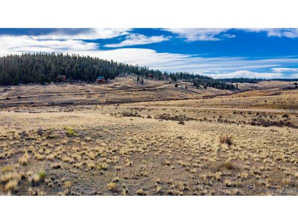 825 Gitche Goone, Como, CO 80432