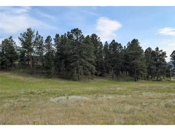 1379 S Mountain Estates, Florissant, CO 80816