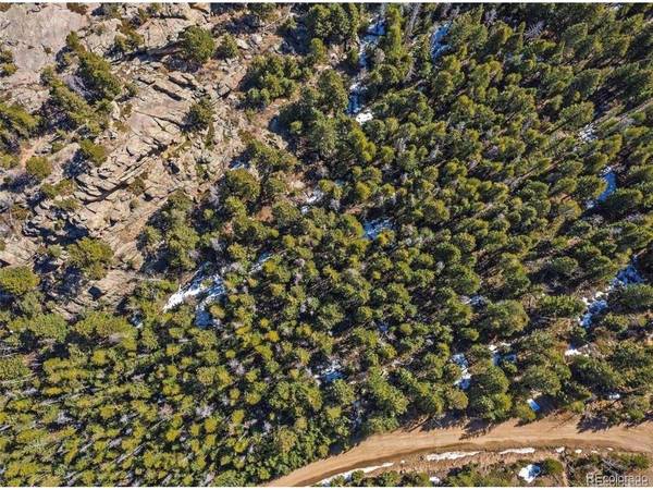 33131 Lynx, Evergreen, CO 80439