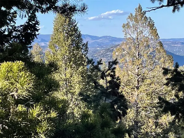 33131 Lynx, Evergreen, CO 80439