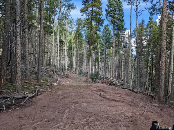 2379 Larry, Fort Garland, CO 81133