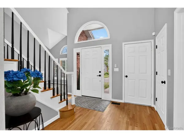87 Buckthorn, Littleton, CO 80127