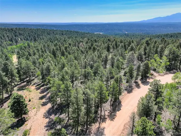 1002 Indian Creek, Florissant, CO 80816
